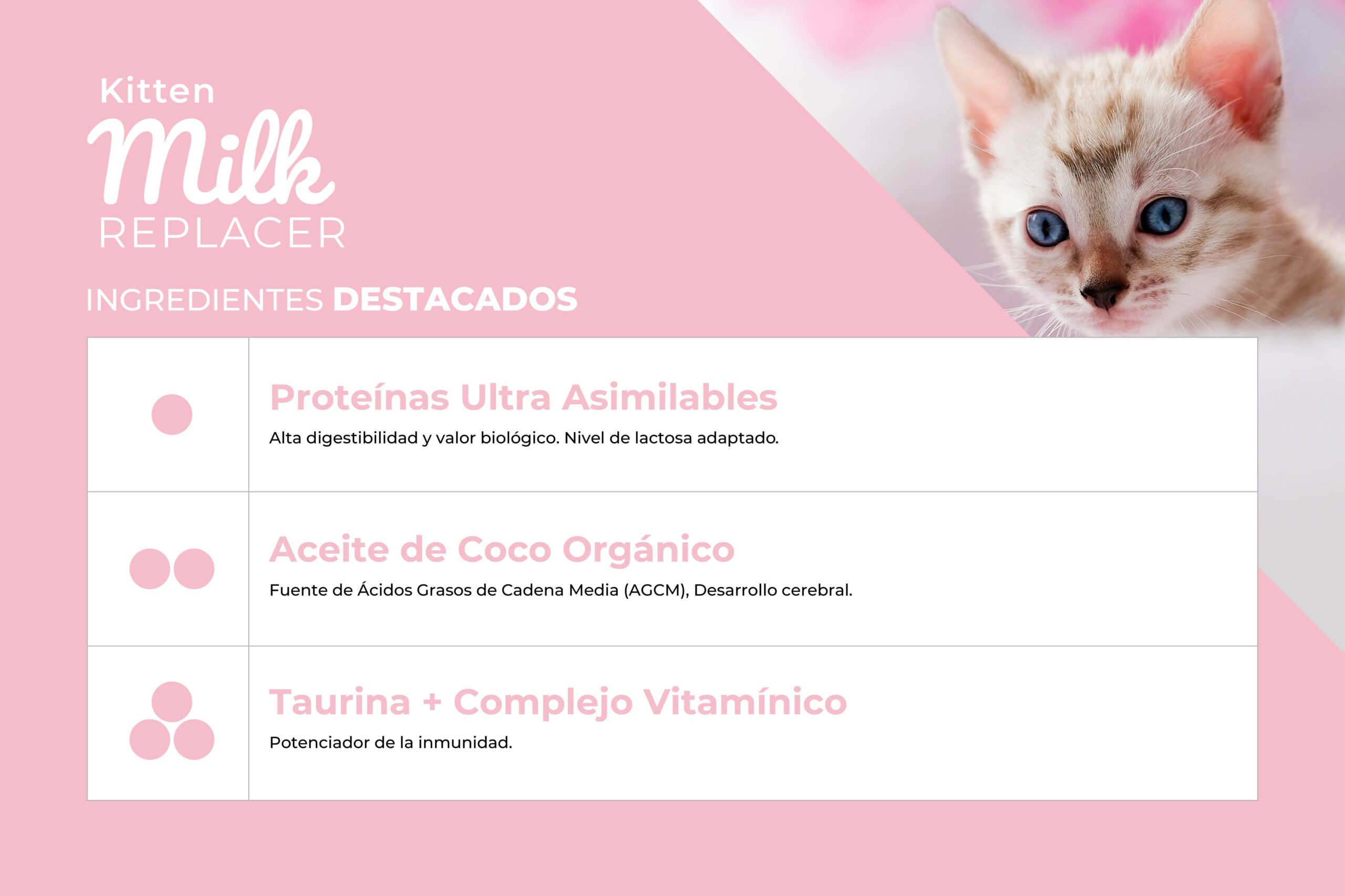 KITTEN MILK - Image 2