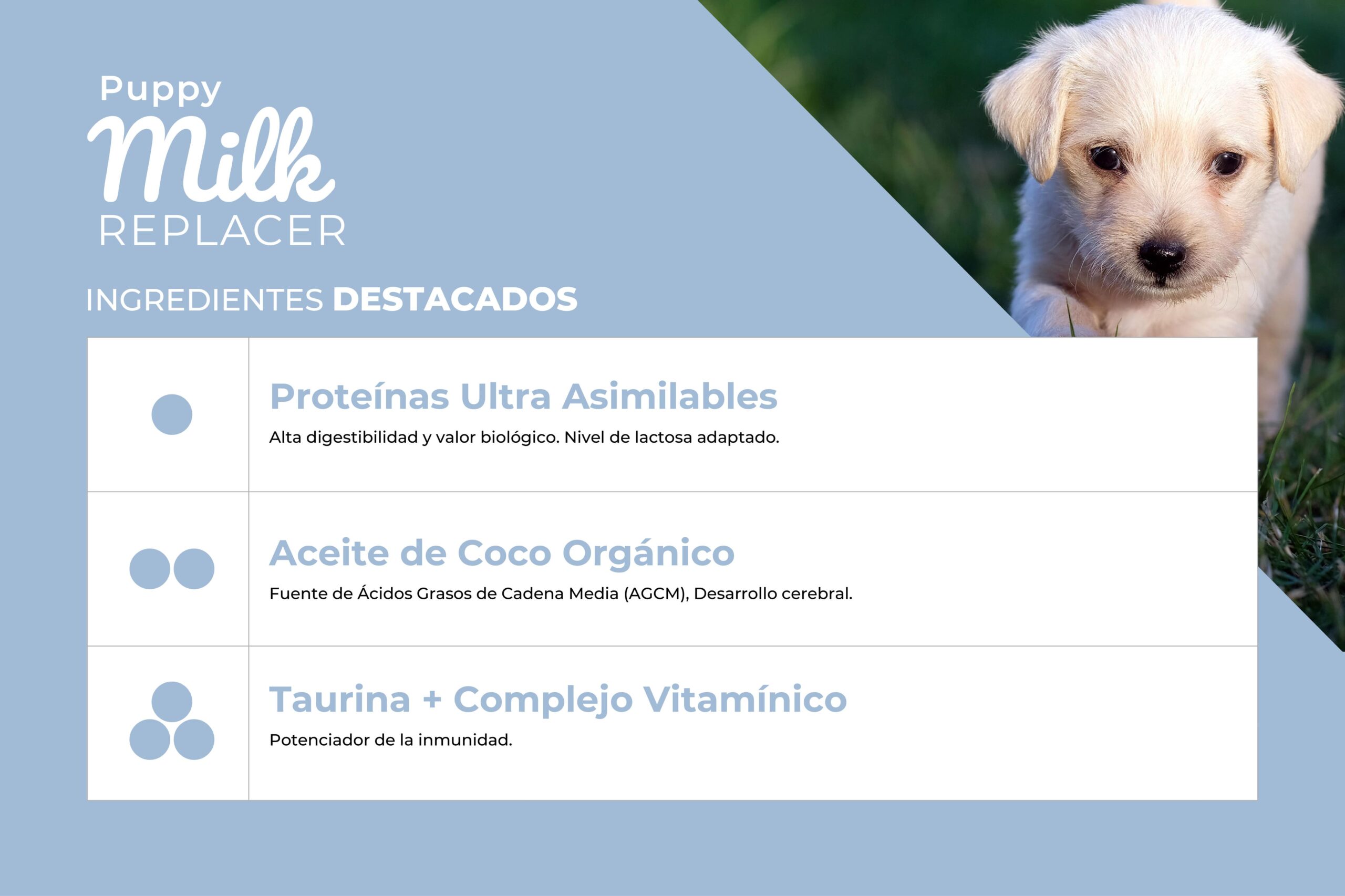 PUPPY MILK - Image 2
