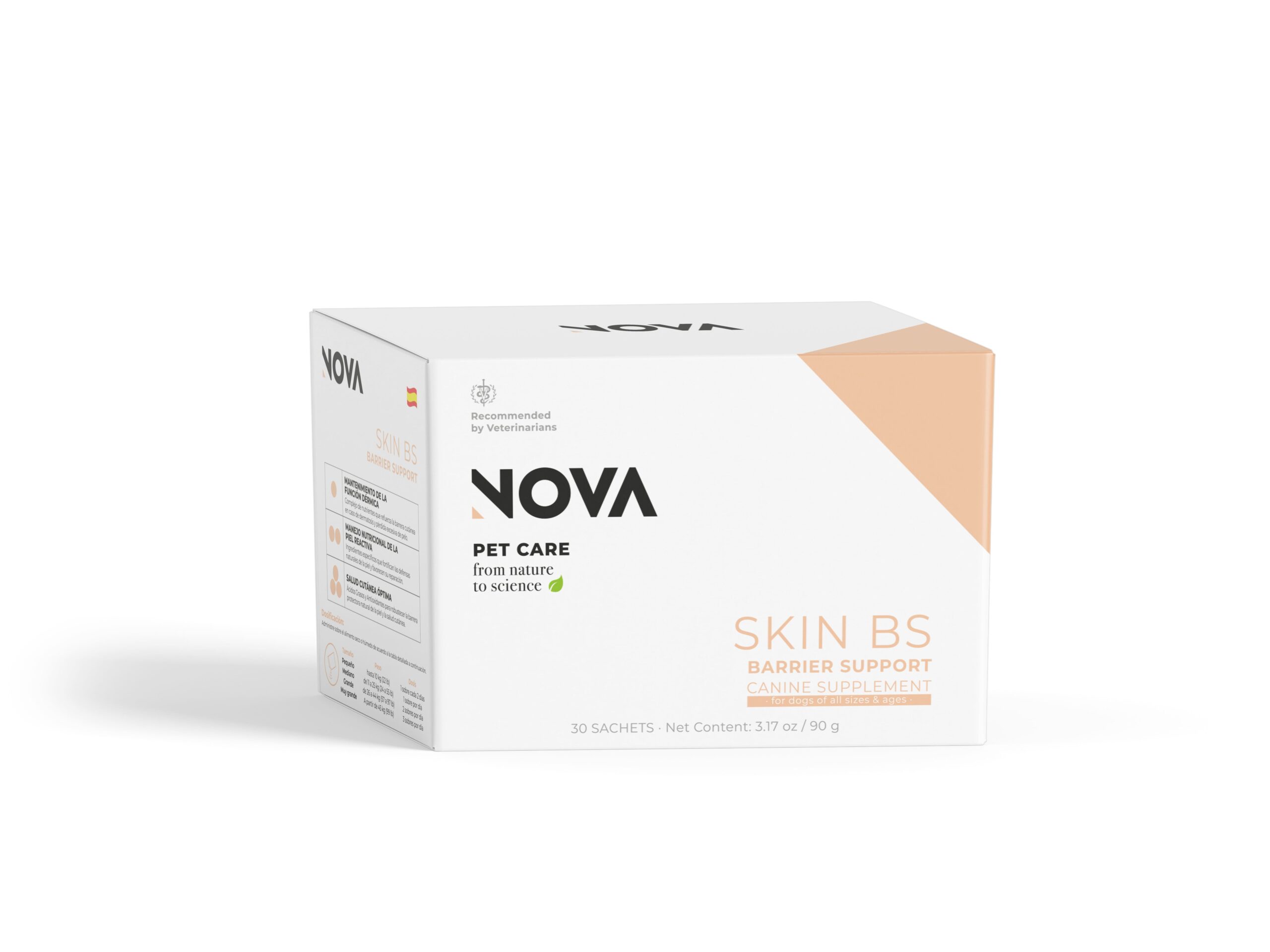 SKIN BS - Image 2