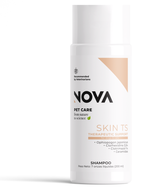 SKIN TS